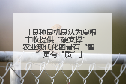 良种良机良法为夏粮丰收提供“硬支撑” 农业现代化图景有“智”更有“质”