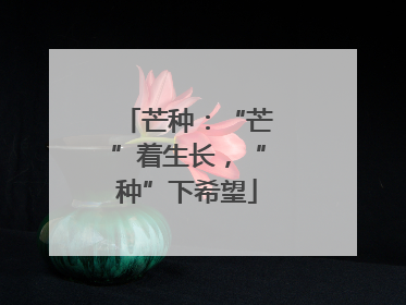 芒种：“芒”着生长，“种”下希望