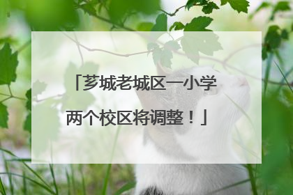 芗城老城区一小学两个校区将调整！