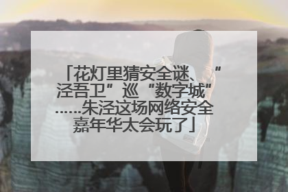 花灯里猜安全谜、“泾吾卫”巡“数字城”……朱泾这场网络安全嘉年华太会玩了