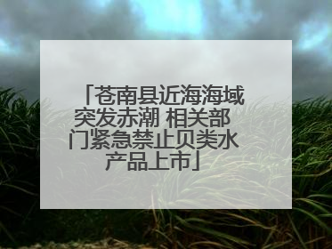 苍南县近海海域突发赤潮 相关部门紧急禁止贝类水产品上市