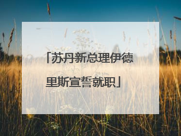 苏丹新总理伊德里斯宣誓就职