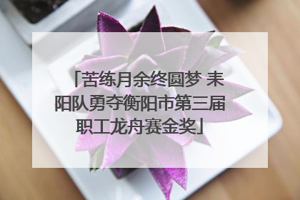 苦练月余终圆梦 耒阳队勇夺衡阳市第三届职工龙舟赛金奖