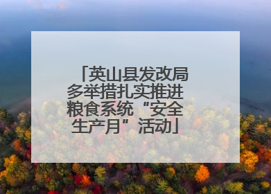 英山县发改局多举措扎实推进粮食系统“安全生产月”活动