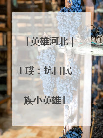 英雄河北｜王璞：抗日民族小英雄
