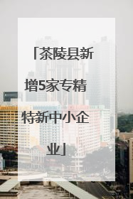 茶陵县新增5家专精特新中小企业