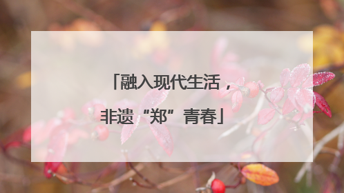 融入现代生活，非遗“郑”青春