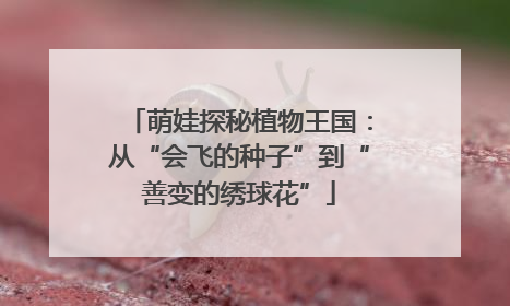 萌娃探秘植物王国：从“会飞的种子”到“善变的绣球花”