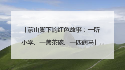 蒙山脚下的红色故事：一所小学、一盏茶碗、一匹病马