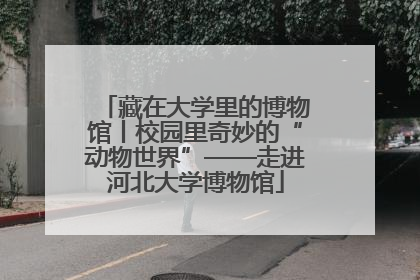 藏在大学里的博物馆丨校园里奇妙的“动物世界”——走进河北大学博物馆