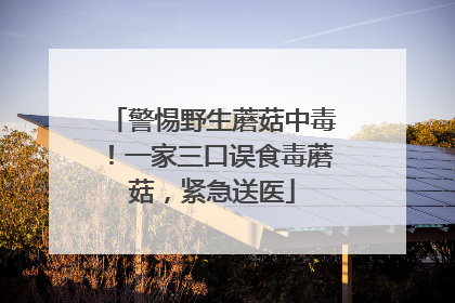 警惕野生蘑菇中毒！一家三口误食毒蘑菇，紧急送医