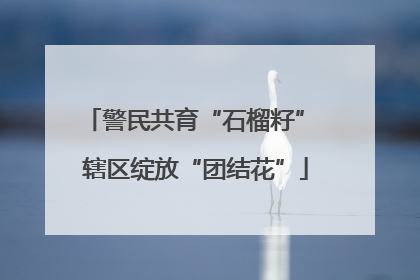 警民共育“石榴籽” 辖区绽放“团结花”