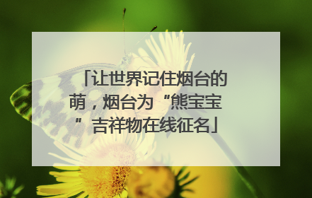 让世界记住烟台的萌，烟台为“熊宝宝”吉祥物在线征名