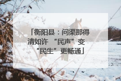 衡阳县：问渠那得清如许 “民声”变“民生”更畅通