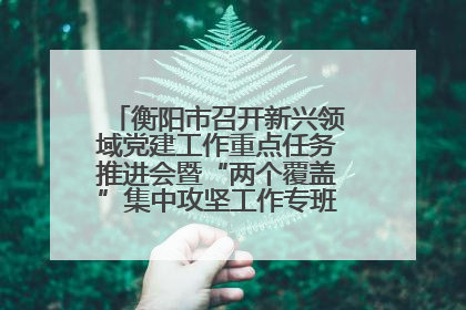 衡阳市召开新兴领域党建工作重点任务推进会暨“两个覆盖”集中攻坚工作专班 第一次会议