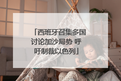 西班牙召集多国讨论加沙局势 呼吁制裁以色列