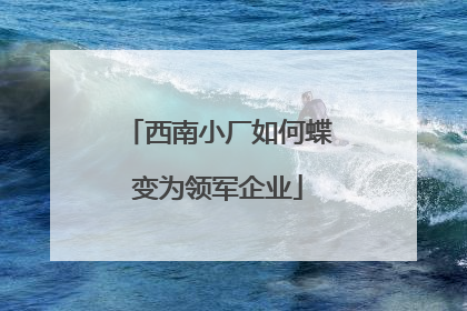 西南小厂如何蝶变为领军企业