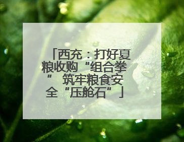 西充：打好夏粮收购“组合拳” 筑牢粮食安全“压舱石”