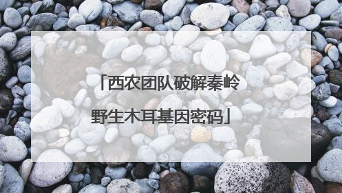 西农团队破解秦岭野生木耳基因密码