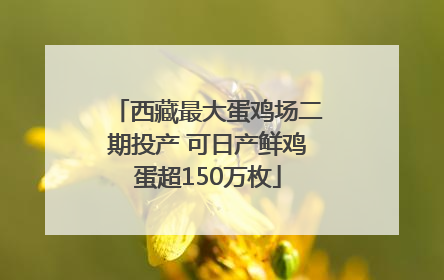 西藏最大蛋鸡场二期投产 可日产鲜鸡蛋超150万枚