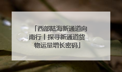 西部陆海新通道向南行丨探寻新通道货物运量增长密码