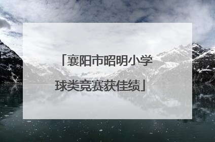 襄阳市昭明小学球类竞赛获佳绩