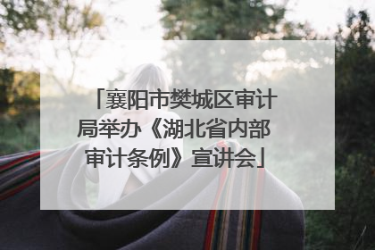 襄阳市樊城区审计局举办《湖北省内部审计条例》宣讲会