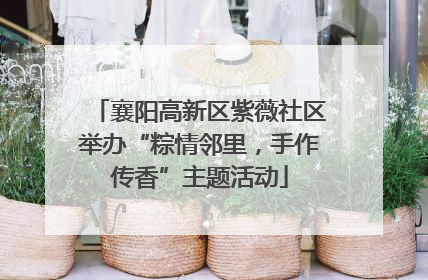 襄阳高新区紫薇社区举办“粽情邻里，手作传香”主题活动