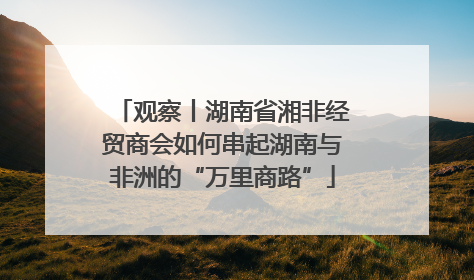 观察丨湖南省湘非经贸商会如何串起湖南与非洲的“万里商路”