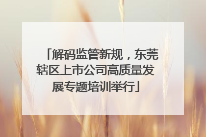 解码监管新规，东莞辖区上市公司高质量发展专题培训举行