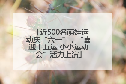 近500名萌娃运动庆“六一”，“喜迎十五运 小小运动会”活力上演