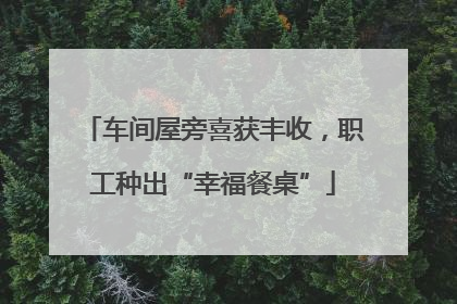 车间屋旁喜获丰收，职工种出“幸福餐桌”