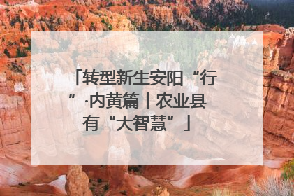 转型新生安阳“行”·内黄篇丨农业县有“大智慧”