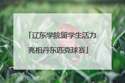 辽东学院留学生活力亮相丹东匹克球赛