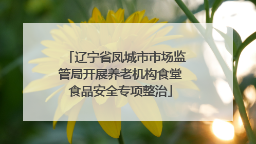 辽宁省凤城市市场监管局开展养老机构食堂食品安全专项整治