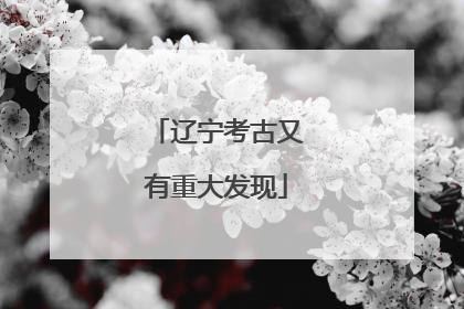 辽宁考古又有重大发现