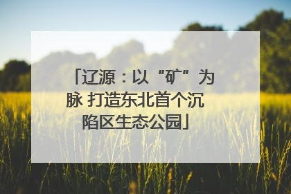 辽源：以“矿”为脉 打造东北首个沉陷区生态公园