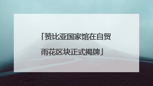 赞比亚国家馆在自贸雨花区块正式揭牌