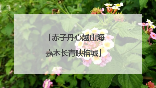 赤子丹心越山海 嘉木长青映榕城