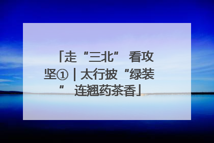 走“三北” 看攻坚①｜太行披“绿装” 连翘药茶香