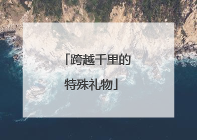 跨越千里的特殊礼物