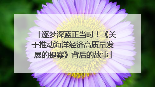 逐梦深蓝正当时！《关于推动海洋经济高质量发展的提案》背后的故事