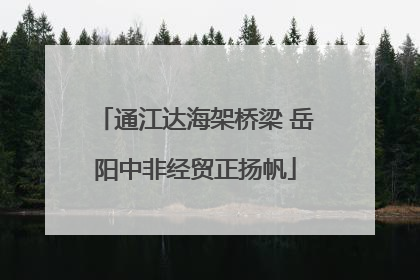 通江达海架桥梁 岳阳中非经贸正扬帆