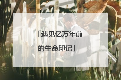 遇见亿万年前的生命印记