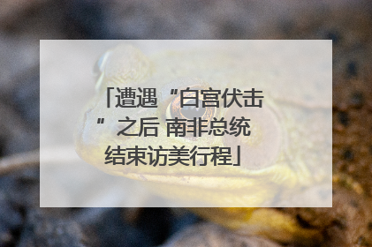 遭遇“白宫伏击”之后 南非总统结束访美行程