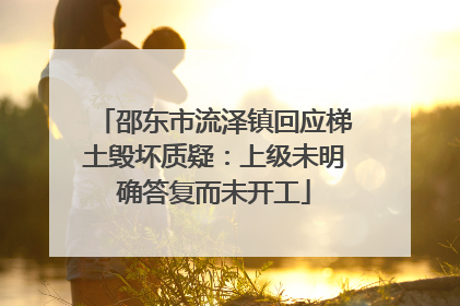 邵东市流泽镇回应梯土毁坏质疑：上级未明确答复而未开工