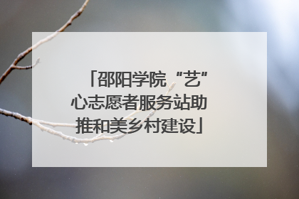 邵阳学院“艺”心志愿者服务站助推和美乡村建设