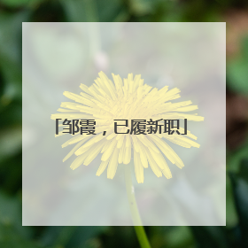 邹霞，已履新职