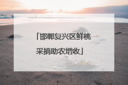 邯郸复兴区鲜桃采摘助农增收