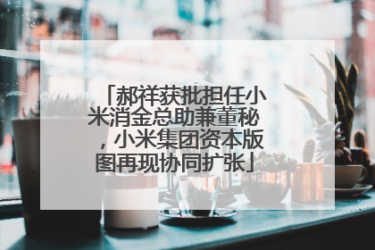 郝祥获批担任小米消金总助兼董秘，小米集团资本版图再现协同扩张